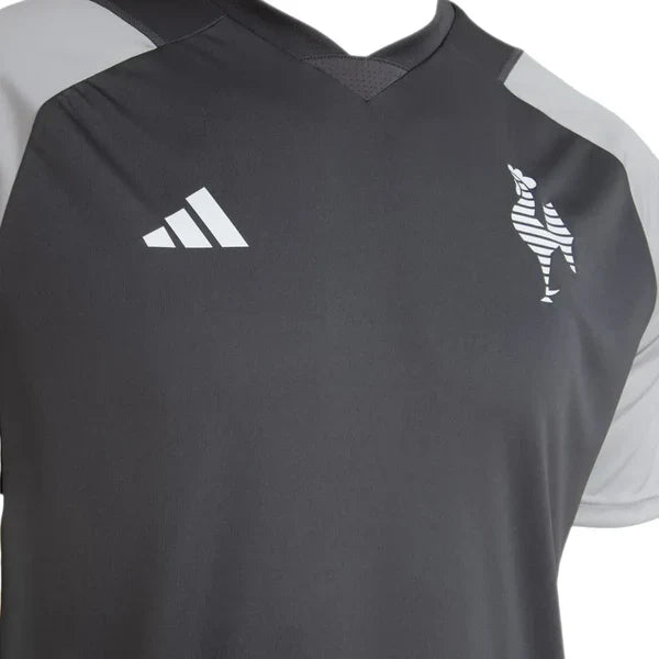 Camiseta Atlético Mineiro Cuerpo Técnico 24/25 - Gris