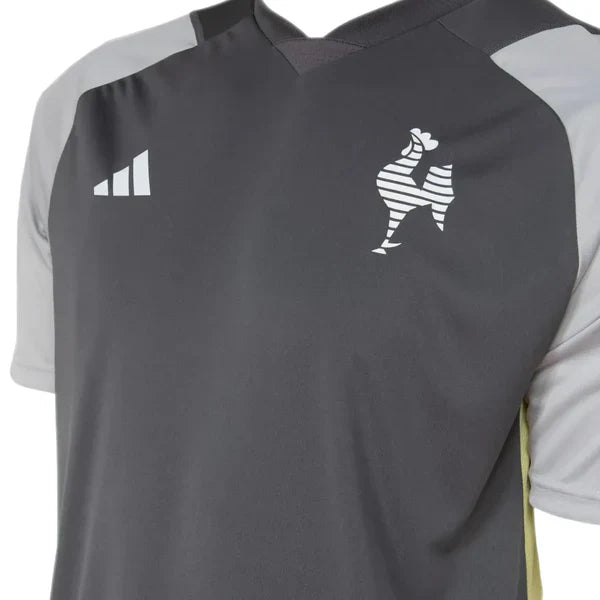 Camiseta Atlético Mineiro Cuerpo Técnico 24/25 - Gris