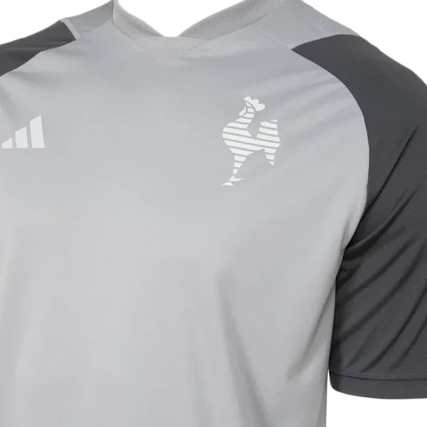 Camiseta Atlético Mineiro Entrenamiento 24/25 - Gris