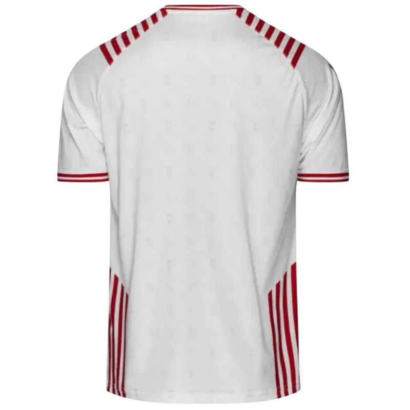 Camiseta Dinamarca Edição Especial 2022 - Blanca