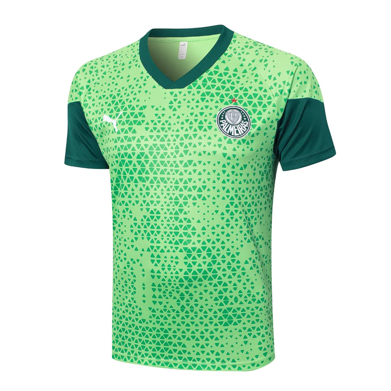 Conjunto Palmeiras Entrenamiento 24/25 - Verde